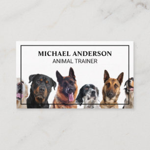 Sitting Dogs Dog Trainer Business Card