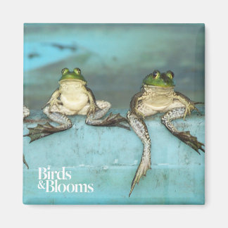 Sitting Frogs Magnet