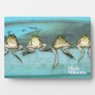 Sitting Frogs Plaque