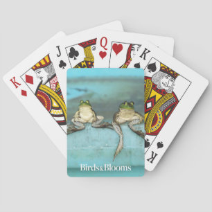 Sitting Frogs Playing Cards