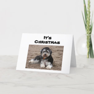 SITTING HERE THINKING OF YOU AT CHRISTMAS CARD