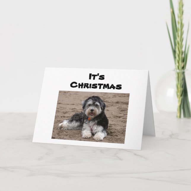 SITTING HERE THINKING OF YOU AT CHRISTMAS CARD (Front)