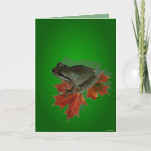 Sitting On Leaves Card