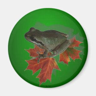 Sitting On Leaves Magnet