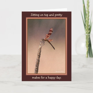 Sitting on top and pretty--makes for a happy day. card