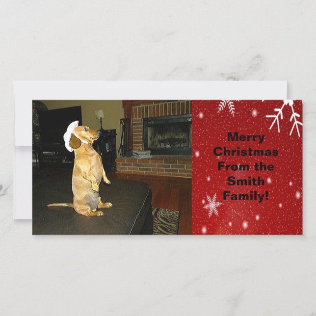Sitting Pretty Dachshund Christmas Photo Card (Front)