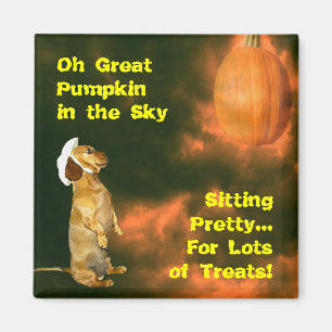 Sitting Pretty For Lots of Treats Magnet