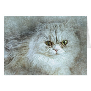 Sitting Pretty Kitty Abstract Watercolor