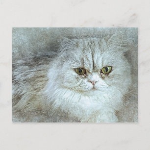 Sitting Pretty Kitty Abstract Watercolor Postcard