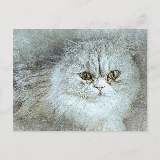 Sitting Pretty Kitty | Abstract | Watercolor Postcard (Front)