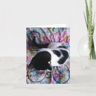 Sitting Pretty Kitty Notecard