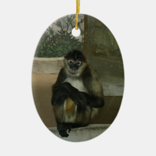 Sitting Pretty Monkey Ceramic Tree Decoration