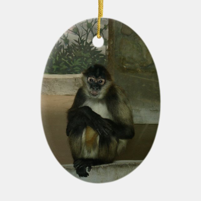 Sitting Pretty Monkey Ceramic Tree Decoration (Front)