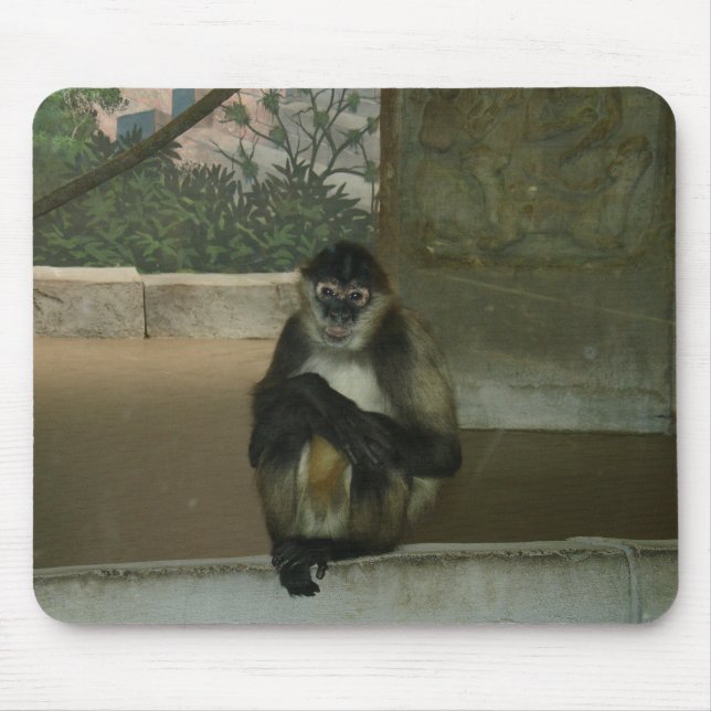 Sitting Pretty Monkey Mouse Pad (Front)