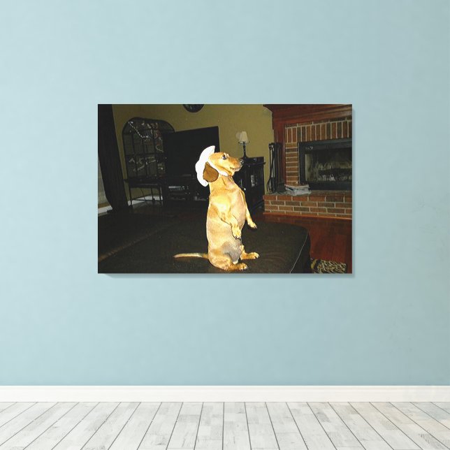 Sitting Pretty or Watching TV Dachshund Canvas Print (Insitu(Wood Floor))