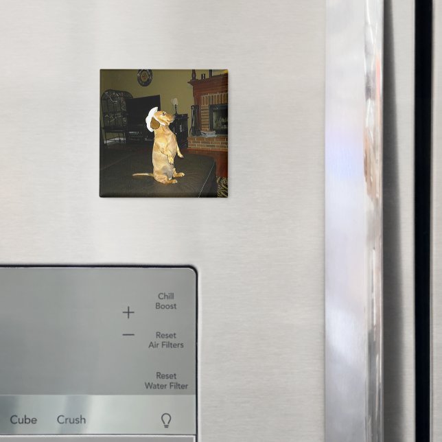Sitting Pretty or Watching TV Dachshund Magnet (In Situ (Fridge))
