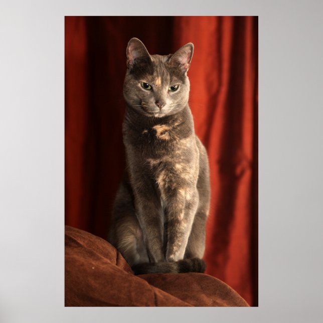 Sitting pretty poster (Front)