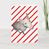 Sitting Pretty/Red and White Stripe-Christmas Card