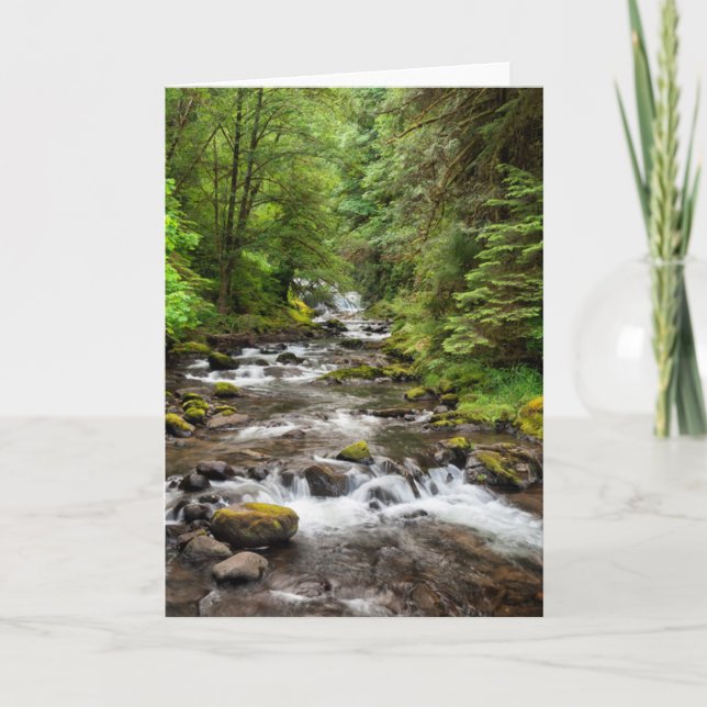 Siuslaw National Forest | Sweet Creek Card (Front)
