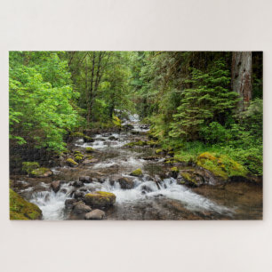 Siuslaw National Forest   Sweet Creek Jigsaw Puzzle