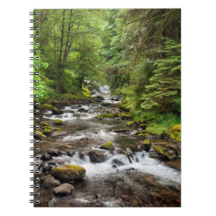 Siuslaw National Forest   Sweet Creek Notebook