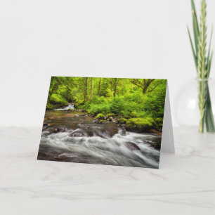 Siuslaw National Forest, Sweet Creek, Oregon Card