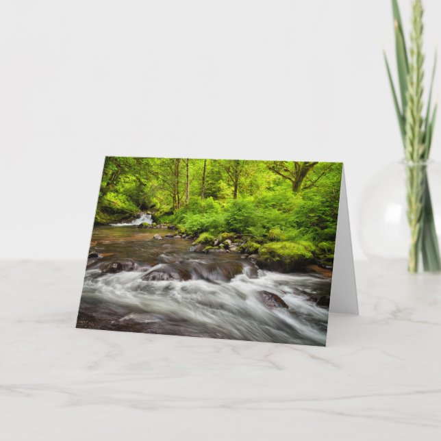 Siuslaw National Forest, Sweet Creek, Oregon Card (Front)
