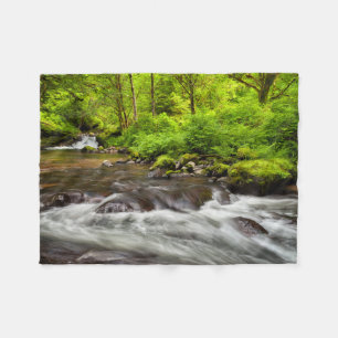 Siuslaw National Forest, Sweet Creek, Oregon Fleece Blanket