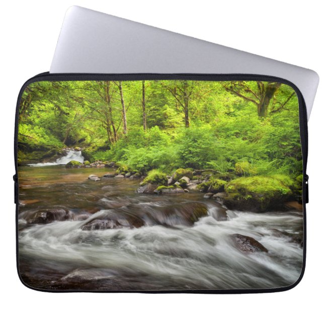 Siuslaw National Forest, Sweet Creek, Oregon Laptop Sleeve (Front)