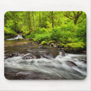 Siuslaw National Forest, Sweet Creek, Oregon Mouse Pad