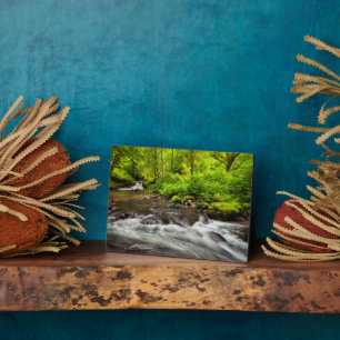 Siuslaw National Forest, Sweet Creek, Oregon Plaque