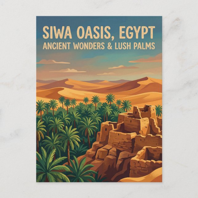 Siwa Oasis Egypt Postcard (Front)