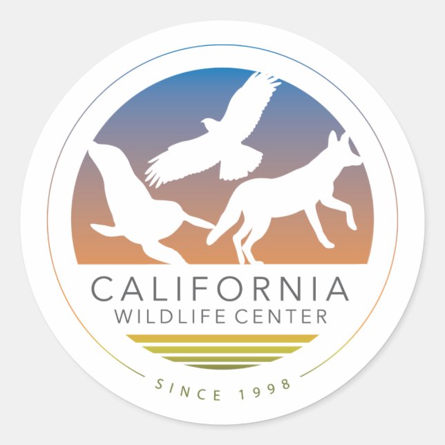 Six CWC Logo Sticker (Front)