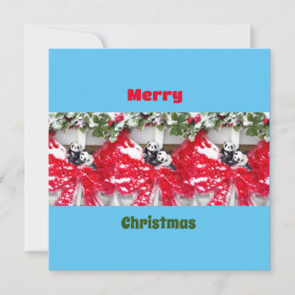 Six Darling Pandas at Christmas 
