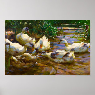 Six Ducks in Blue Reed Water by Alexander Koester Poster