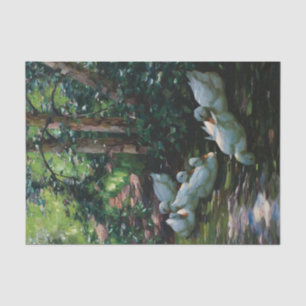 Six Ducks in Water by Alexander Koester Tissue Paper
