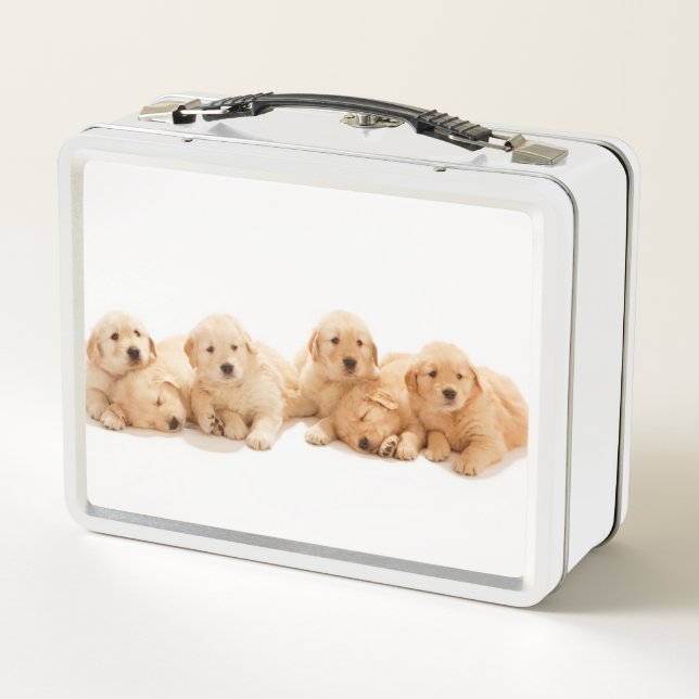 Six Golden Retriever Puppies Metal Lunch Box (Back)