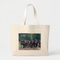 Six-Horse-Team