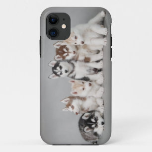 Six huskies iPhone 11 case