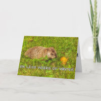 Six less weeks of winter greeting card