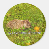 Six less weeks of winter magnet