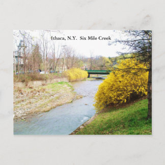 SIX MILE CREEK, ITHACA, N.Y. postcard