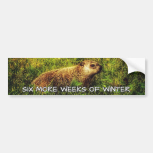 Six more weeks of winter bumper sticker