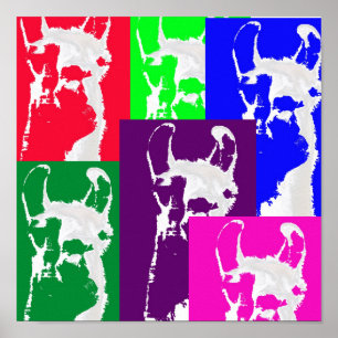 Six Mulitcolored Llamas. Poster