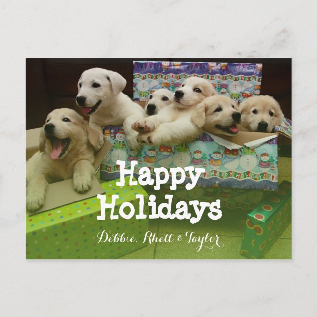 Six puppies sit in Christmas boxes Holiday Postcard (Front)