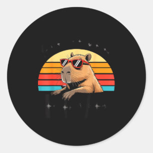 Six Seven Bruh 67 Meme Capybara  Classic Round Sticker