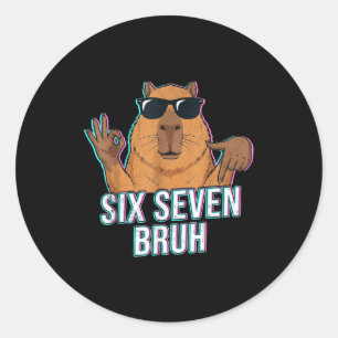 Six Seven Bruh Capybara 67 Boys Teens Kids Animals Classic Round Sticker