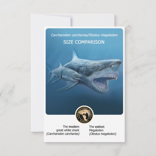 Size Comparison postcard (Megalodon+modern shark) (Front)
