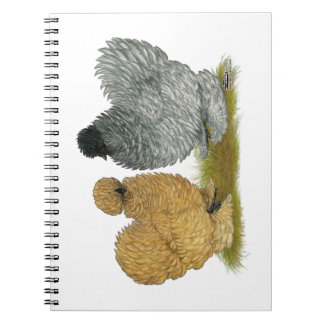 Sizzle Chickens Spiral Notebook