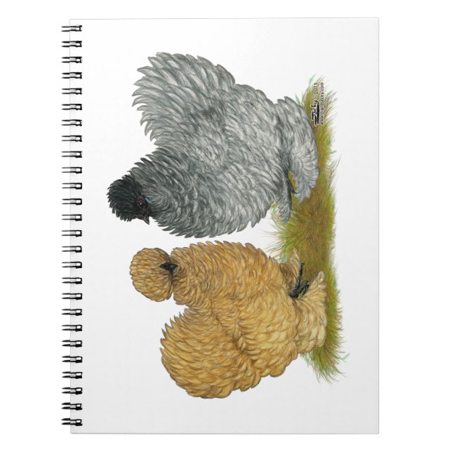 Sizzle Chickens Spiral Notebook (Front)